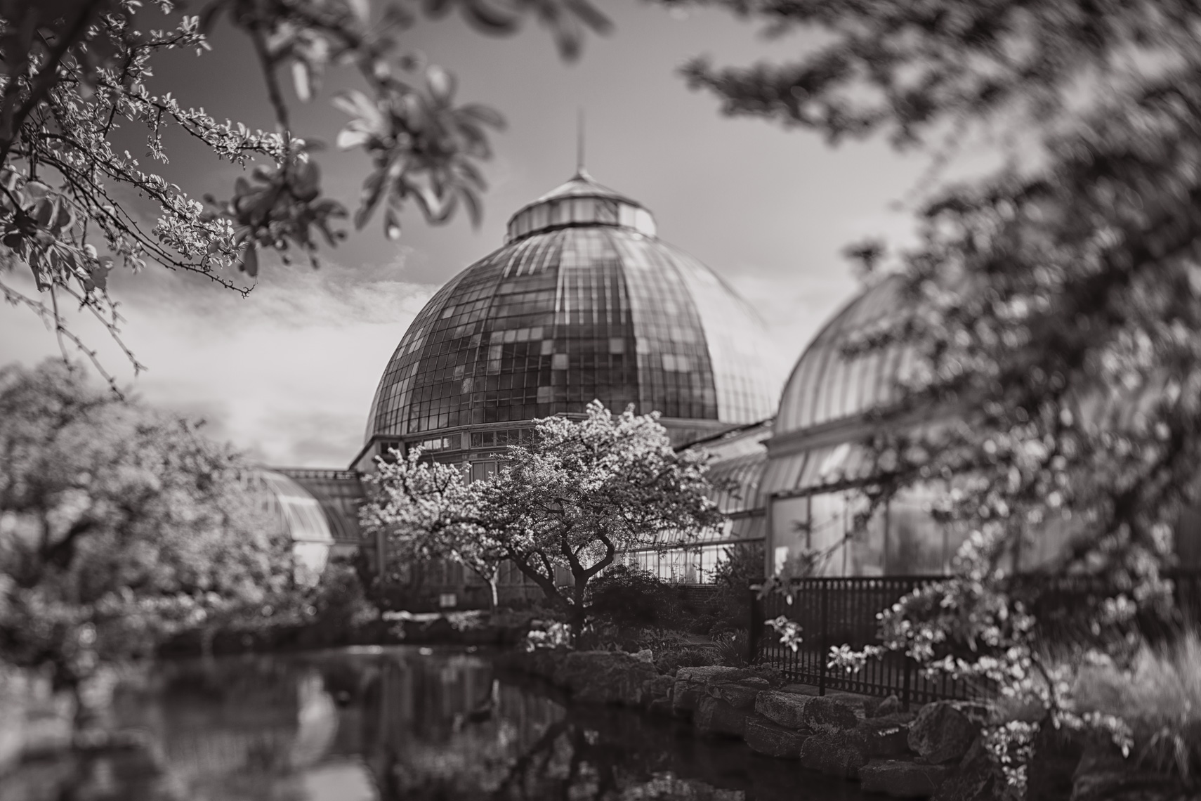 Detroit_BelleIsle-3100-Edit.jpg