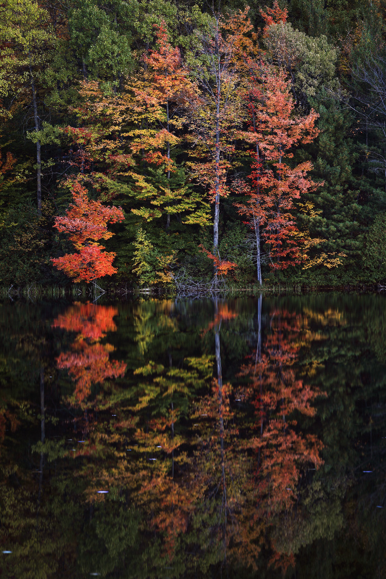 Fall_PerchLake_09_001_W.jpg