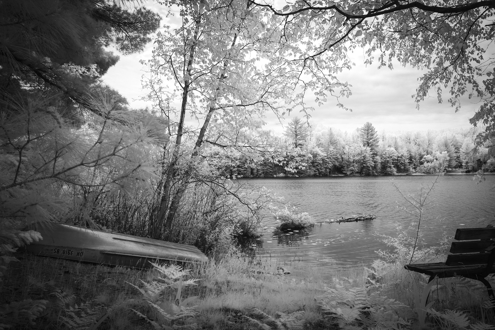 brightmoor-upnorth-0077-W.jpg